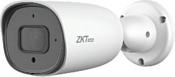 ZKTeco BS-858M22C