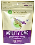 Pet Naturals of Vermont Agility DMG для собак со вкусом куриной печени