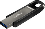 SanDisk Extreme Go 256GB