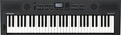 Roland Go:Keys 5