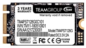 Team Group 128 GB MS30 (TM4PS7128G0C101)