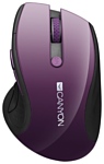 Canyon CNS-CMSW01P Violet USB