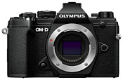 Olympus OM-D E-M5 Mark III Body