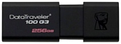 Kingston DataTraveler 100 G3 256GB