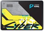 e2e4 120 GB Cyber 120Gb