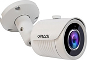 Ginzzu HIB-2032S Ginzzu HIB-2032S