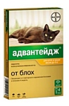 Адвантейдж (Bayer) Адвантейдж для котят и кошек до 4кг (4 пипетки)