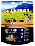 Ontario (0.75 кг) Puppy Medium Lamb & Rice