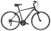 TREK Verve 3 (2016)