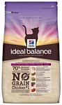 Hill's (2 кг) Ideal Balance Feline Adult No Grain with Fresh Chicken & Potato