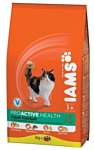 Iams ProActive Health Adult Hairball (0.85 кг)