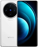 Vivo X100 16/512GB (международная версия)