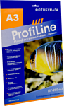 ProfiLine PL-GP-260-A3-25