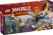 LEGO Ninjago 71810 Молодой дракон Рию