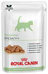 Royal Canin Pediatric Growth Kitten (в соусе) (0.1 кг) 1 шт.