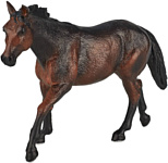Konik Лошадь Квотерхорс Темно-гнедая AMF1051