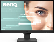 BenQ GW2490