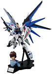 Bandai MG 1/100 Freedom Gundam Ver 2.0 & Kira Yamato