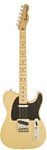 Fender AM SPEC TELE MN VBL