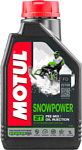 Motul SnowPower 2T TC 1л