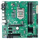 ASUS PRIME B250M-C/CSM