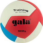 Gala Training Heavy 12 BV 5475 S (размер 5, белый/синий)