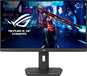 ASUS ROG Strix XG259QNS