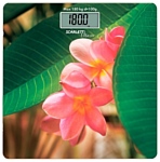 Scarlett SC-BS33E040 Scarlett SC-BS33E040