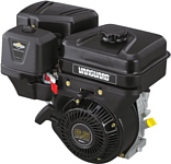 Briggs&Stratton Vanguard 6,5 HP