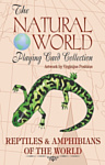 US Games Systems Reptiles & Amphibians of the Natural World Playing Cards RWC54