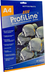 ProfiLine PL-GP-250-A4-25