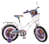 Profi Trike SF168B