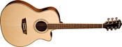 Washburn WCG18CE