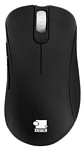 ZOWIE GEAR EC2-EVO black USB