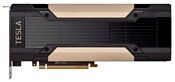 NVIDIA Tesla V100 32GB (900-2G500-0010-000)