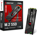 BIOSTAR M500 1TB M500-1TB