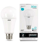 Gauss LED Elementary A67 30W 4100K E27 73229