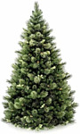 National Tree Company Woodland Carolina 2.25 м (WC3-307P-75)