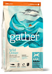 Gather (2.72 кг) Wild Ocean