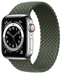 Apple Watch Series 6 GPS + Cellular 40mm Stainless Steel Case with Braided Solo Loop