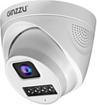 Ginzzu HID-4303A