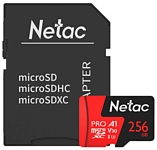 Netac NT02P500PRO-256G-R