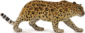 Collecta Амурский леопард 88708b XL