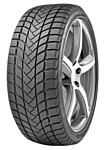 Delinte Winter WD6 215/50 R17 95H