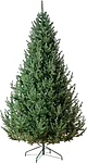 GreenTerra Элоди 2.5 м