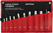 Rexant 12-5872-2 11 предметов