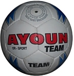 Ayoun Team