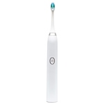 Dentalpik Pro 10