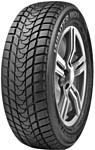 Delinte Winter WD1 255/40 R19 96H