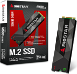 BIOSTAR M500 256GB M500-256GB